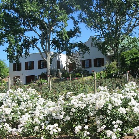 Aan-Den-Weg Villa Stellenbosch Exteriör bild