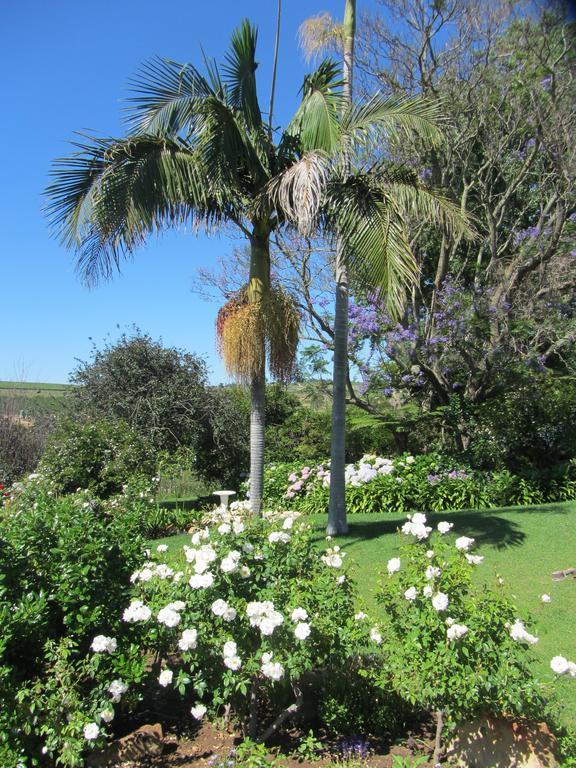 Aan-Den-Weg Villa Stellenbosch Exteriör bild