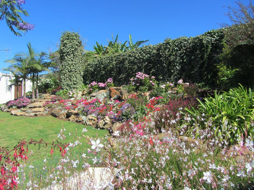 Aan-Den-Weg Villa Stellenbosch Exteriör bild