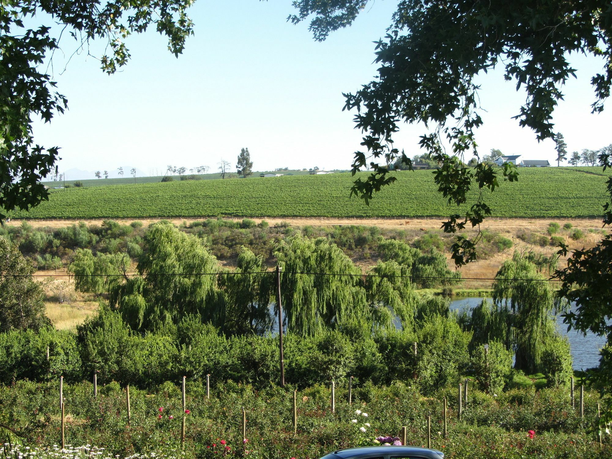 Aan-Den-Weg Villa Stellenbosch Exteriör bild