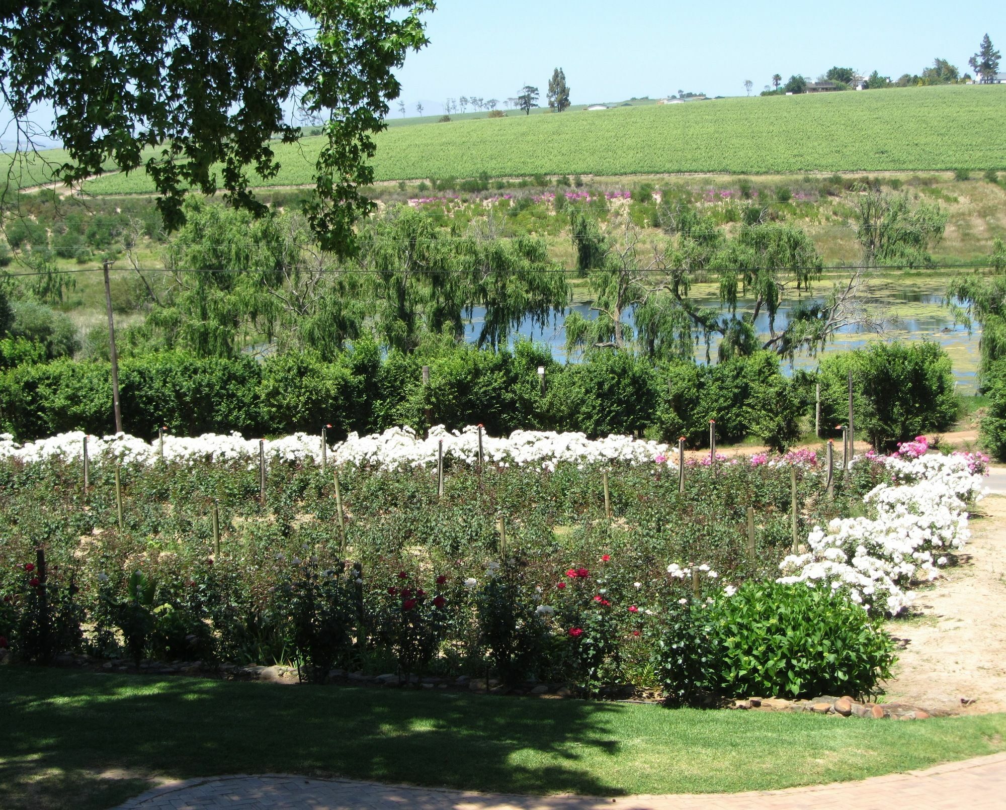 Aan-Den-Weg Villa Stellenbosch Exteriör bild